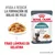 ROYAL CANIN HAIRBALL, ayuda a reducir la formación de bolas de pelo. Finas láminas en gelatina. Reduces hairball formation in 14 days*. Imagen de comida húmeda y gato.