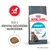 ROYAL CANIN URINARY macskaeledel csomag, szöveg: Segít a húgyutak egészségének megőrzésében. Supports a healthy urinary tract in 10 days*. Egy tápdarab képe is látható. ROYAL CANIN URINARY macskaeledel csomag, szöveg: Segít a húgyutak egészségének megőrzésében. Supports a healthy urinary tract in 10 days*. Egy tápdarab képe is látható.