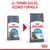 ROYAL CANIN CARE URINARY macskaeledel régi és új csomagolása, felül: Új termék külső, azonos formula. Mindkét csomagon macskakép és kék URINARY felirat látható.