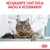 NEZABUDNITE VZIAŤ SVOJU MAČKU K VETERINÁROVI