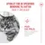 Royal Canin Ageing 11+ Mousse Royal Canin Ageing 11+ Mousse