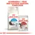 Royal Canin Home Life Indoor Long Hair torrfoder och Royal Canin Instinctive våtfoder 85 g. Text: Kombinera 1 påse med kattens dagliga torrfoder.