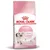 Royal Canin Kitten Royal Canin Kitten