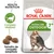 Royal Canin Active Life Outdoor 7+, croquetas para gatos mayores de 7 años. Texto visible: Health Nutrition, Complejo vitalidad, Tamaño de croqueta adaptado.