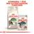 Royal Canin Active Life Outdoor 7+ torrfoderpåse och Instinctive 7+ våtfoderpåse, text: Kombinera 1 påse med kattens dagliga torrfoder.