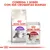 ROYAL CANIN Regular SENSIBLE 33 pienso para gatos y ROYAL CANIN INSTINCTIVE sobre de comida húmeda 85 g. Texto: Combina 1 sobre con sus croquetas diarias.