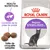 Royal Canin Regular Sterilised 37, contrôle de la prise de poids, taille de croquette adaptée, image d’un chat noir et croquettes visibles sur l’emballage.