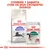 Royal Canin Regular Sterilised 7+ ração seca e Royal Canin Instinctive 7+ saqueta húmida para gatos. Texto: Combine 1 saqueta com os seus croquetes diários.