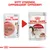 Royal Canin Instinctive i saus