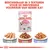 Royal Canin Kitten natvoer, 85 g. Beschikbaar in 3 texturen: paté, saus en gelei. Tekst: 'Beschikbaar in 3 texturen voor de individuele voorkeur van iedere kat'.