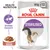 Royal Canin Sterilised Katzenfutter in Sosse, 85g x 12. Unterstützt stabiles Gewicht. Health Nutrition Logo mit Katze und Teller mit Futterstücken in Sosse. Royal Canin Sterilised Katzenfutter in Sosse, 85g x 12. Unterstützt stabiles Gewicht. Health Nutrition Logo mit Katze und Teller mit Futterstücken in Sosse.