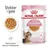 Royal Canin FHN Kitten Sterilised i gelé - 12 x 85 g Royal Canin FHN Kitten Sterilised i gelé - 12 x 85 g