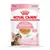 Royal Canin Kitten Sterilised 6–12 months, busta da 85 g, bocconcini in gelatina, senza conservanti, immagine di un gattino e del prodotto sulla confezione.