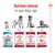 Feeding guide showing Royal Canin food for different life stages: puppy 2-12 months, adult 12 months-7 years, adult 7-10 years, and ageing after 10 years.