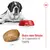Royal Canin Giant Adult Royal Canin Giant Adult