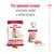 Pro optimální krmení smíchejte suché a vlhké krmivo. Royal Canin Medium Adult 7+ granule 11–25 kg a konzerva 410 g, zobrazeny oba produkty.