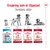 Royal Canin Medium Adult