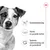 Gewichtsbeheersing, sterke en gezonde botten, optimale ondersteuning van de gezondheid – drie voordelen met bijbehorende pictogrammen naast een hond. Royal Canin kroon symbool rechtsboven.