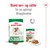 Royal Canin Mini Ageing +12