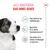 Royal Canin Mini Puppy i saus