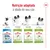 Royal Canin Puppy 2–10 meses, X-Small Adult até 8 anos, X-Small Adult 8+ até 12 anos, X-Small Ageing 12+. Nutrição adaptada à idade do cão, com ilustrações de diferentes fases de vida. Royal Canin Puppy 2–10 meses, X-Small Adult até 8 anos, X-Small Adult 8+ até 12 anos, X-Small Ageing 12+. Nutrição adaptada à idade do cão, com ilustrações de diferentes fases de vida.