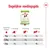 Dagelijkse voedingsgids Royal Canin X-Small Adult: voedingstabel voor honden van 1 kg, 2,5 kg en 4 kg met aanbevolen gram per dag op basis van activiteit (<1 uur, <2 uur, >3 uur).