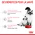 Des bénéfices pour la santé : soutien de la santé de la chatte et des chatons, système immunitaire fort, développement cérébral. Royal Canin visible sur une gamelle.