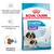 Royal Canin Starter Mother & Babydog Giant 1–2 months. Understøtter et sundt helbred hos tæven og hendes hvalpe. Kan bidrage til et stærkt immunforsvar. Oplødelig foderpille.