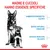 Madre e cuccioli hanno esigenze specifiche: fabbisogni energetici elevati, difese naturali immature, sistema digestivo delicato. Marchio Royal Canin visibile in basso a destra.