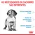 As necessidades do cachorro são diferentes: sistema imunitário frágil, período de aprendizagem e treino, sistema digestivo sensível. Marca Royal Canin visível.