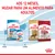 Aos 12 meses, mudar para um alimento para adultos. Embalagens Royal Canin Puppy 2–12 months e Adult Cocker, Medium Adult. Indicação: 2 meses até 12 meses, depois alimentação adulta.