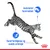 Instinktivt foretrukket. Sund fordøjelse og sunde urinveje. Billede af springende kat med Royal Canin krone nederst.