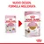 Royal Canin Kitten 85 g, confronto tra vecchio e nuovo design della confezione. Testo visibile: 'NUOVO DESIGN, FORMULA MIGLIORATA', 'Up to 12 months', 'No preservatives'.
