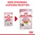 Nowe opakowanie karmy Royal Canin Kitten 85 g, ulepszona receptura. Widoczne dwa warianty: stare i nowe opakowanie z kotem oraz informacją 'Up to 12 months'.