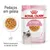 Royal Canin Kitten Up to 12 months, 85 g x12. Pedaços em geleia. Textura suave para os dentes de leite. Imagem de comida húmida e de um gatinho. Royal Canin Kitten Up to 12 months, 85 g x12. Pedaços em geleia. Textura suave para os dentes de leite. Imagem de comida húmida e de um gatinho.