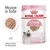 Royal Canin Kitten Mousse in Sosse, 85g x 12, für Katzen bis zu 12 Monaten. Weiche Textur für Milchzähne, Stage 3.
