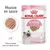 Royal Canin Kitten Up to 12 months, mousse en sauce, 85 g x12, texture tendre pour les dents de lait, sachet avec photo d’un chaton et numéro 3 stage visible sur l’emballage.