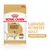 ROYAL CANIN Labrador Retriever Adult 140 g, upravená textura, nápis IDEAL WEIGHT, obrázek psa a krmiva na obalu. ROYAL CANIN Labrador Retriever Adult 140 g, upravená textura, nápis IDEAL WEIGHT, obrázek psa a krmiva na obalu.