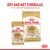 Dry and wet formulas for an optimal feeding experience. Royal Canin Adult Labrador Retriever food shown in both pouch and bag packaging.