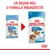 Royal Canin Puppy Medium 140g, ambalaj vechi și nou. Text vizibil: „UN DESIGN NOU, O FORMULĂ ÎMBUNĂTĂȚITĂ”, „PUPPY MEDIUM 11–25 kg”, „2–12 months/mois”, „NO PRESERVATIVES”.