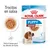 Royal Canin Puppy Medium 2-12 months, 140 g x10. Trocitos en salsa, textura suave para los dientes de leche. Imagen del producto y plato con comida húmeda para cachorros.