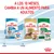 A los 10 meses, cambia a un alimento para adultos. Royal Canin Puppy 2–10 meses y Adult Dachshund/Mini. Guía visual con productos y edades: 2 meses, 10 meses.
