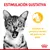 Texto: ESTIMULACIÓN GUSTATIVA. Estimula el particular sentido del gusto de los gatos. Imagen de gato y gráfico amarillo con silueta de gato comiendo.