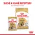 ROYAL CANIN ADULT Shih Tzu suché a vlhké krmivo, balení 85 g a větší pytel. Text: SUCHÉ A VLHKÉ RECEPTURY pro optimální krmení.