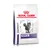 Sachet de croquettes pour chat Royal Canin Expert Dental, image d’un chat, texte visible : EXPERT, DENTAL. Sachet de croquettes pour chat Royal Canin Expert Dental, image d’un chat, texte visible : EXPERT, DENTAL.