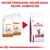 Nieuwe verpakking, nieuwe naam, nieuwe aanbeveling. Royal Canin Senior Consult Stage 2 en Stage 2 High Cal wordt Royal Canin Early Renal kattenvoer.