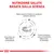 Nutrizione salute basata sulla scienza. Basso tenore di fosforo, contenuto proteico adattato, arricchito con EPA+DHA e antiossidanti, profilo aromatico unico, crocchetta arrotondata.