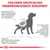 Grafik mit Hund und Text: Für einen spezifischen Ernährungszweck konzipiert. Informationen zu Nierenfunktionsstörungen bei Hunden, Symptomen wie Futteraversion und erhöhtem Harnausstoss.