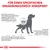Grafik: Hunde mit Futterunverträglichkeiten zeigen Hautveränderungen und sind anfällig für Magen-Darm-Probleme. Chronische Hautkrankheiten beeinträchtigen die Lebensqualität erheblich.