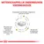 Wetenschappelijk onderbouwde voedingskeuze: aangepaste hoeveelheden magnesium, calcium en fosfor, bevordert optimale pH-waarde en mineralenconcentratie in urine, verrijkt met antioxidanten en EPA-DHA.